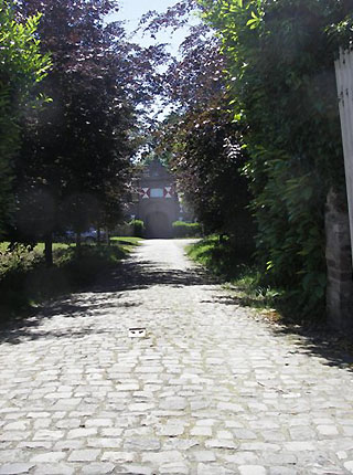 The Cubbled Avenue